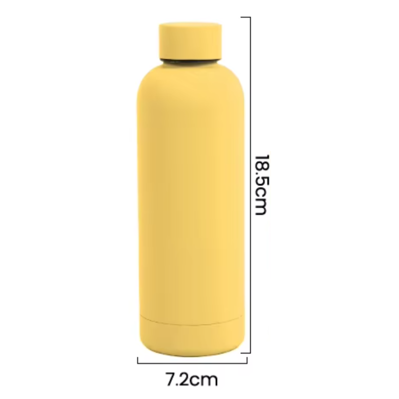Insulated Stainless Steel Water Bottle (BPA-Free)