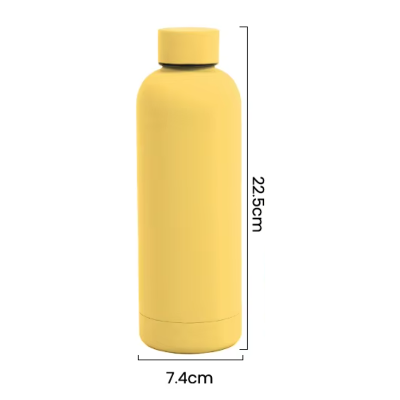 Insulated Stainless Steel Water Bottle (BPA-Free)