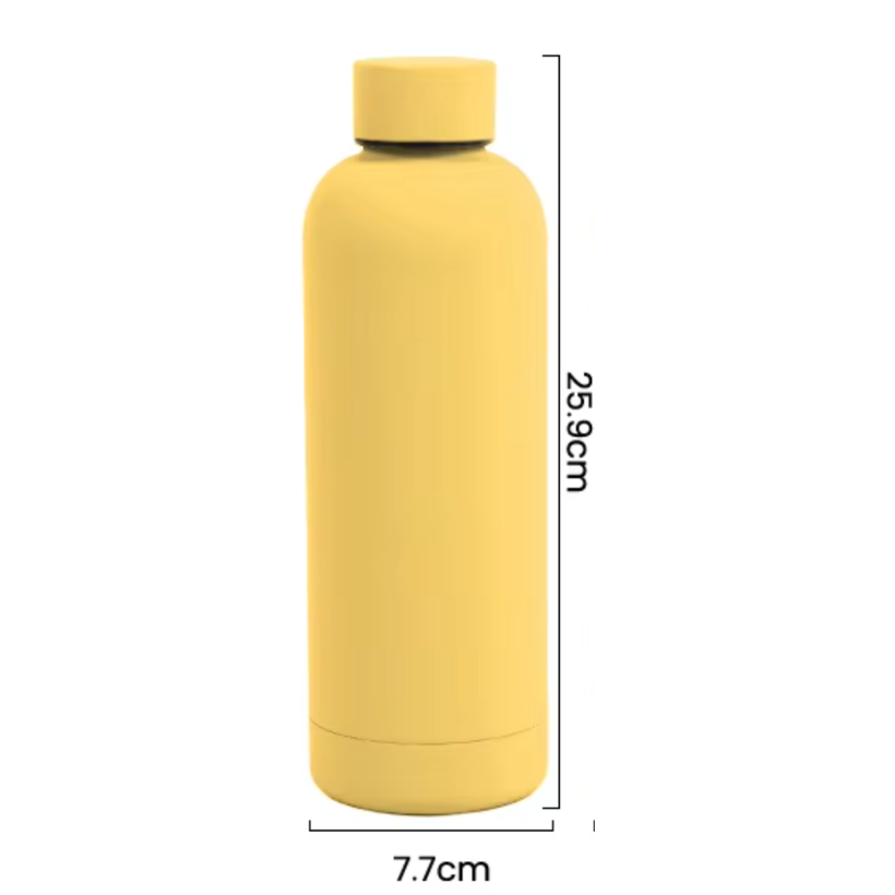 Insulated Stainless Steel Water Bottle (BPA-Free)