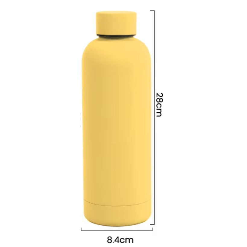 Insulated Stainless Steel Water Bottle (BPA-Free)